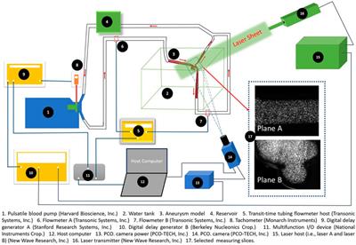 Developing an in vitro validated 3D in silico internal carotid artery sidewall aneurysm model